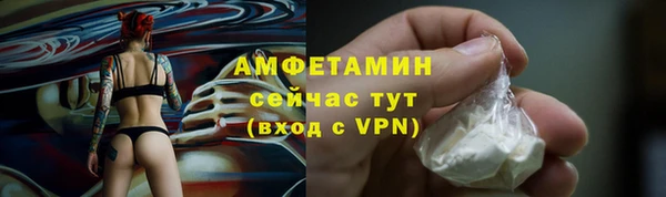 прущие грибы Навашино