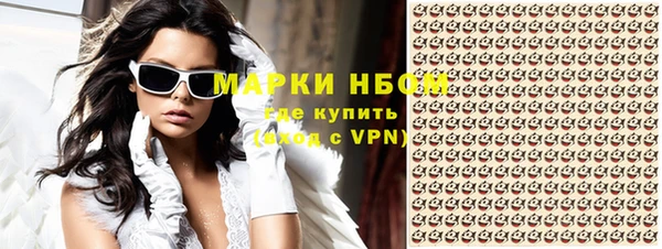 прущие грибы Навашино