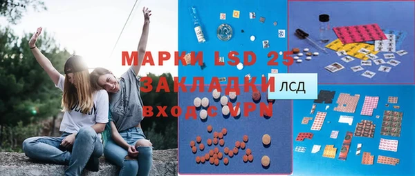 прущие грибы Навашино