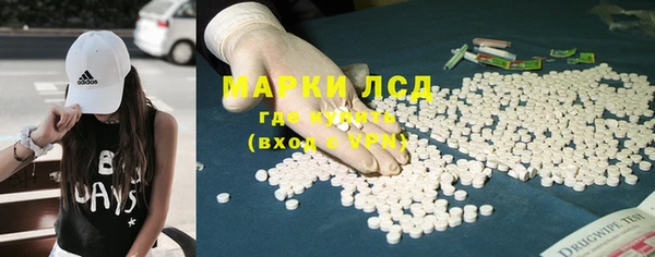 прущие грибы Навашино