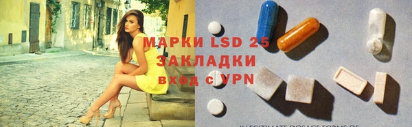 прущие грибы Навашино