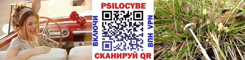 Псилоцибиновые грибы GOLDEN TEACHER  купить   ссылка на мегу как зайти  Озёры 